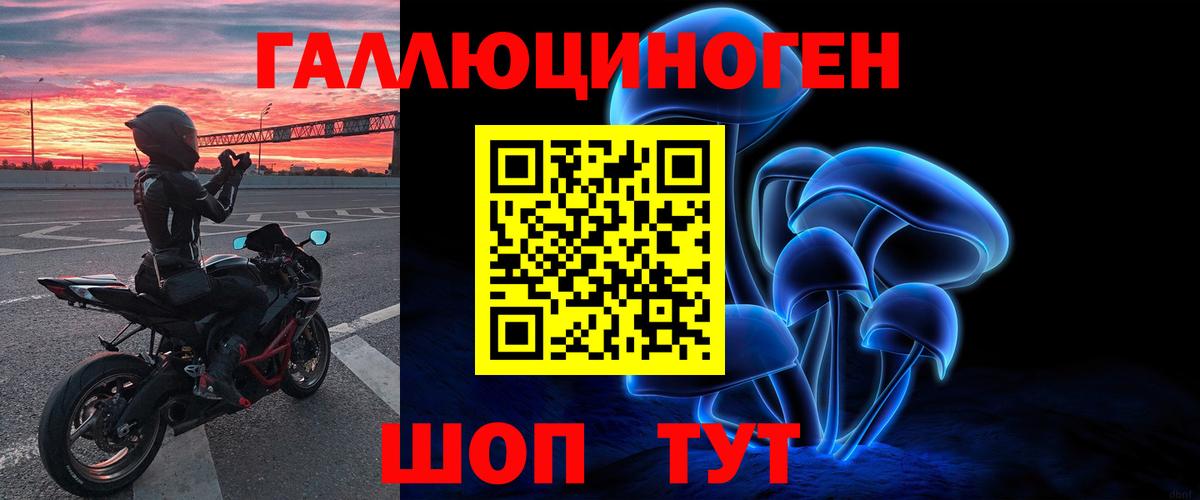 Галлюциногенные грибы Psilocybine cubensis  Вход с VPN  Сосновый Бор 