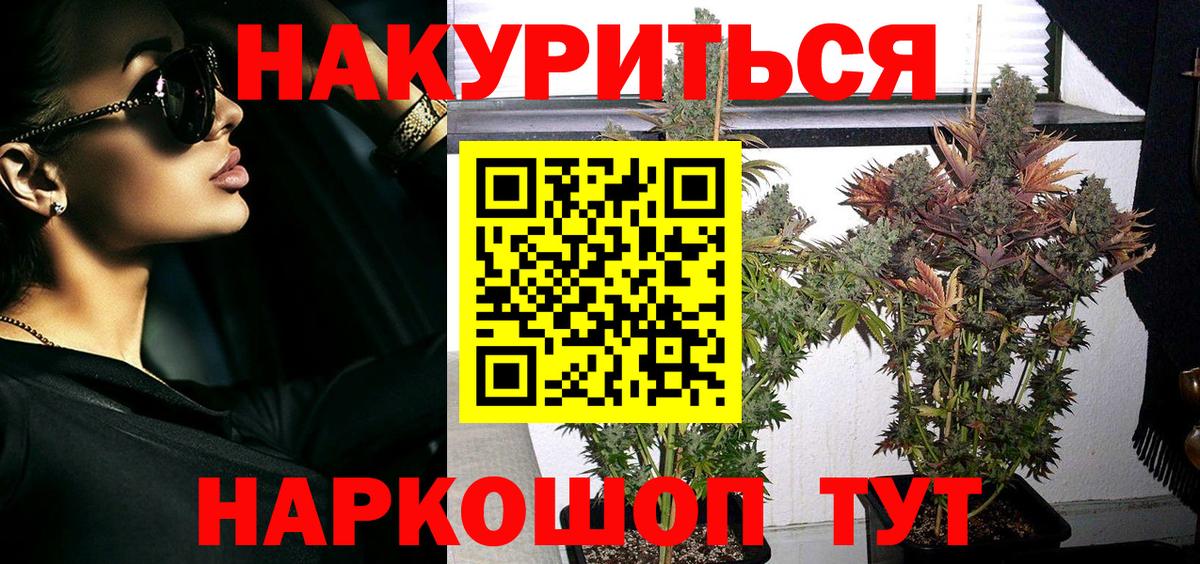 Конопля OG Kush Сосновый Бор